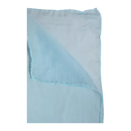 Accessories > Scarves > Silky Scarves - - Dolce & Gabbana - Modalova