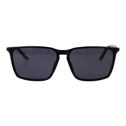 Accessories > Sunglasses - - Calvin Klein - Modalova
