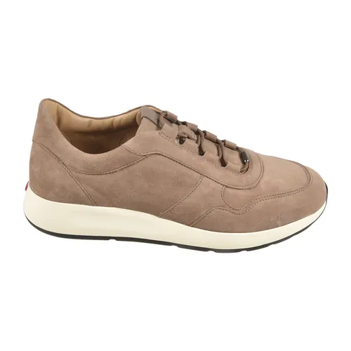 Tod's - Shoes > Sneakers - Brown - Tod's - Modalova