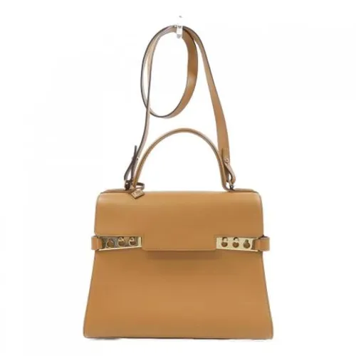Pre-owned > Pre-owned Bags > Pre-owned Handbags - - Delvaux Pre-owned - Modalova
