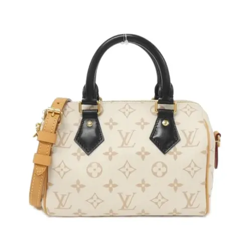 Pre-owned > Pre-owned Bags > Pre-owned Handbags - - Louis Vuitton Vintage - Modalova