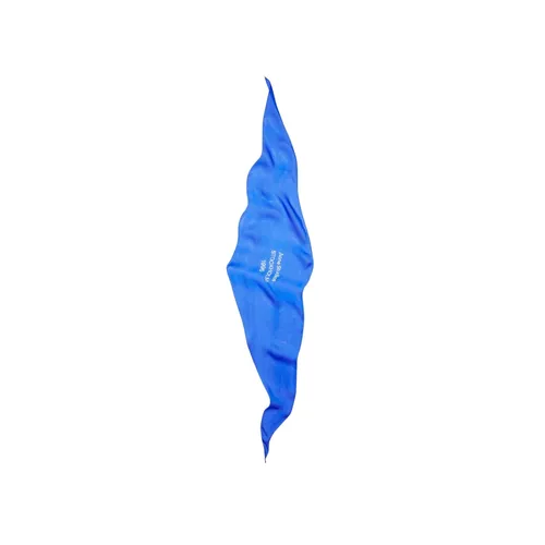 Accessories > Scarves > Silky Scarves - - Acne Studios - Modalova