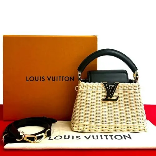 Pre-owned > Pre-owned Bags > Pre-owned Mini Bags - - Louis Vuitton Vintage - Modalova
