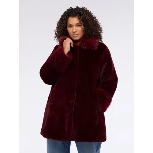 Coats > Single-Breasted Coats - - Fiorella Rubino - Modalova
