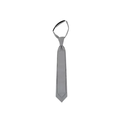 Accessories > Ties - - Corneliani - Modalova