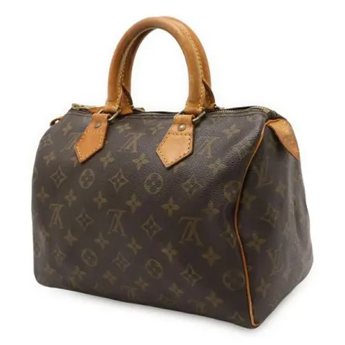 Pre-owned > Pre-owned Bags > Pre-owned Handbags - - Louis Vuitton Vintage - Modalova