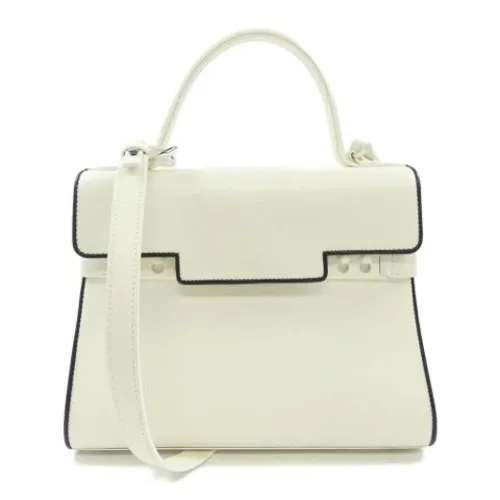 Pre-owned > Pre-owned Bags > Pre-owned Handbags - - Delvaux Pre-owned - Modalova