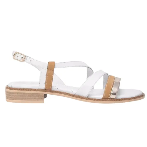 Shoes > Sandals > Flat Sandals - - Nerogiardini - Modalova