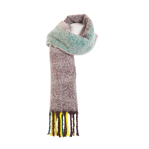 Accessories > Scarves > Winter Scarves - - Fracomina - Modalova