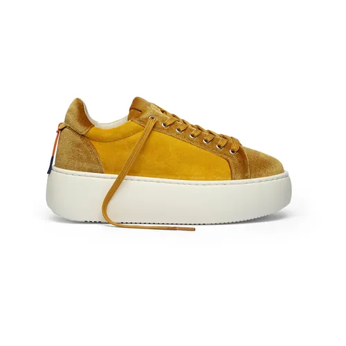 Shoes > Sneakers - - Barracuda - Modalova
