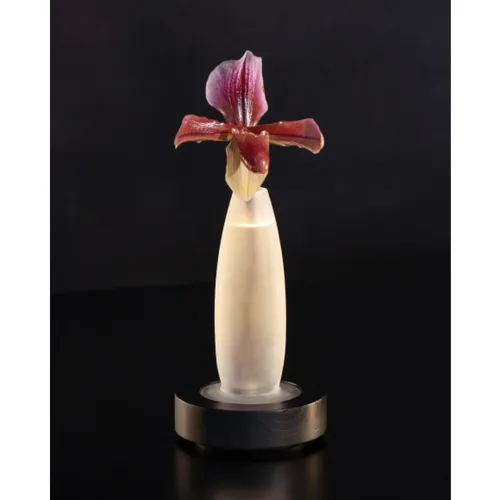 Home > Lighting > Small Lamps - - Ann Demeulemeester - Modalova