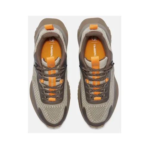 Shoes > Sneakers - - Timberland - Modalova