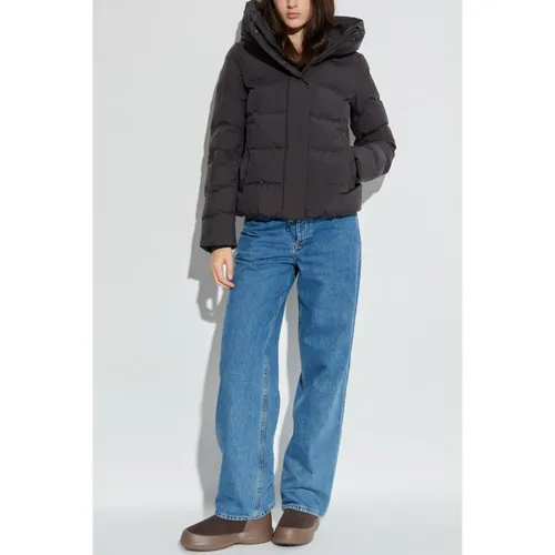 Jackets > Winter Jackets - - Save The Duck - Modalova