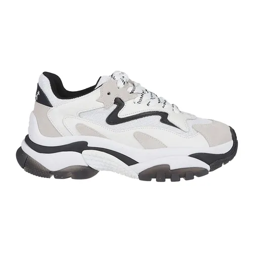 Shoes > Sneakers - - ASH - Modalova