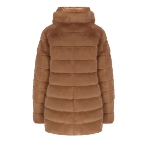 Jackets > Down Jackets - - Herno - Modalova