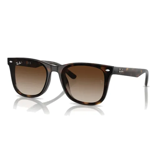 Accessories > Sunglasses - - Ray-Ban - Modalova