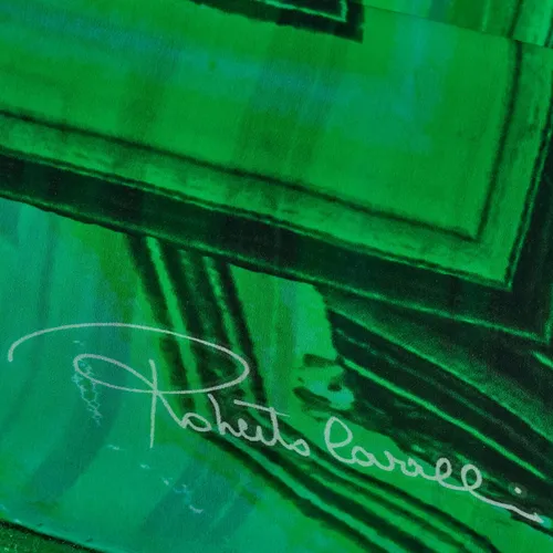 Accessories > Scarves > Silky Scarves - - Roberto Cavalli - Modalova