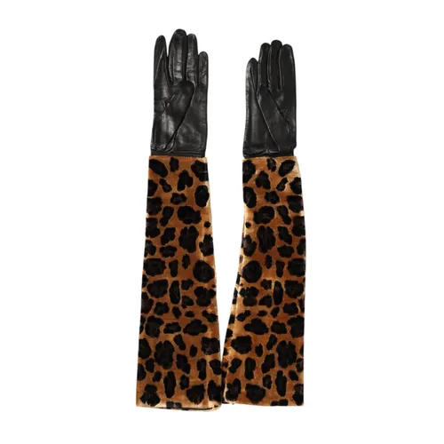 Accessories > Gloves - - Dolce & Gabbana - Modalova