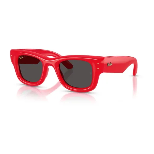 Accessories > Sunglasses - - Ray-Ban - Modalova