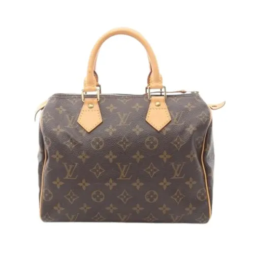 Pre-owned > Pre-owned Bags > Pre-owned Handbags - - Louis Vuitton Vintage - Modalova