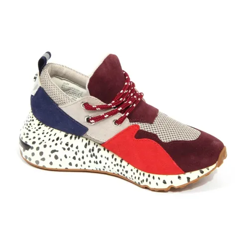 Shoes > Sneakers - - Steve Madden - Modalova