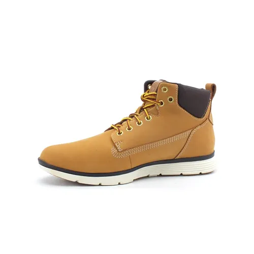 Shoes > Boots > Lace-up Boots - - Timberland - Modalova