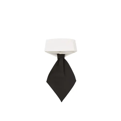Accessories > Ties - - Karl Lagerfeld - Modalova