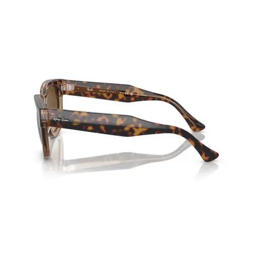Accessories > Sunglasses - - Ray-Ban - Modalova